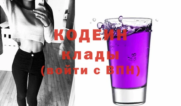 хмурый Арсеньев