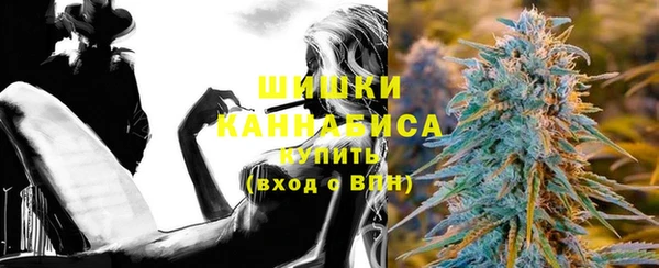 хмурый Арсеньев