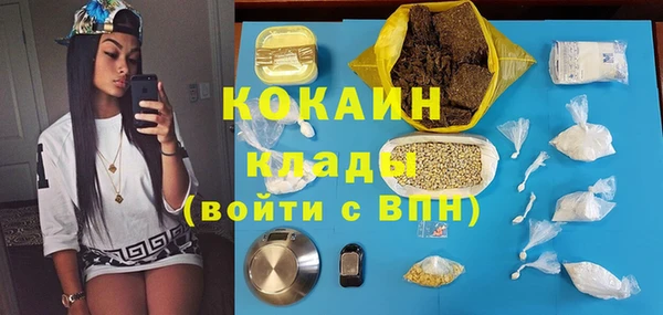 хмурый Арсеньев