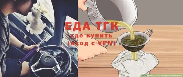 хмурый Арсеньев