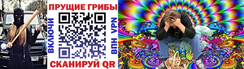 Псилоцибиновые грибы MAGIC MUSHROOMS  Ростов 